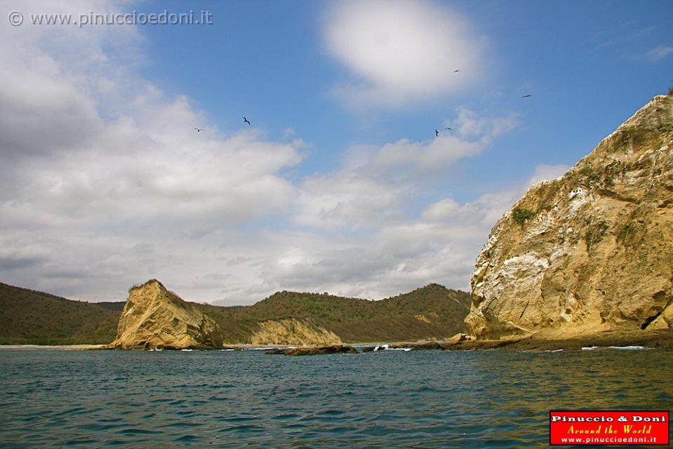 ECUADOR - Whale watching in Puerto Lopez - 18.jpg